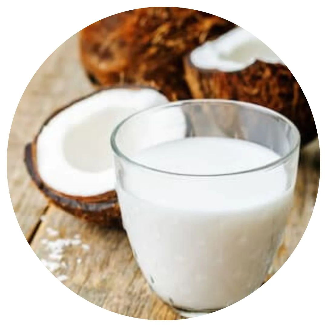organic-coconut-milk-powder